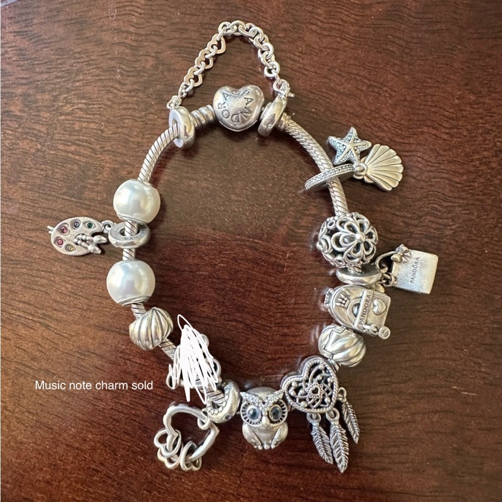 Pandora all silver bracelet set 🩶